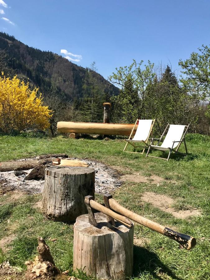 Charmante Gaestewohnung In Altem Bauernhaus In Alpiner Alleinlage Stanz Im Murztal Luaran gambar
