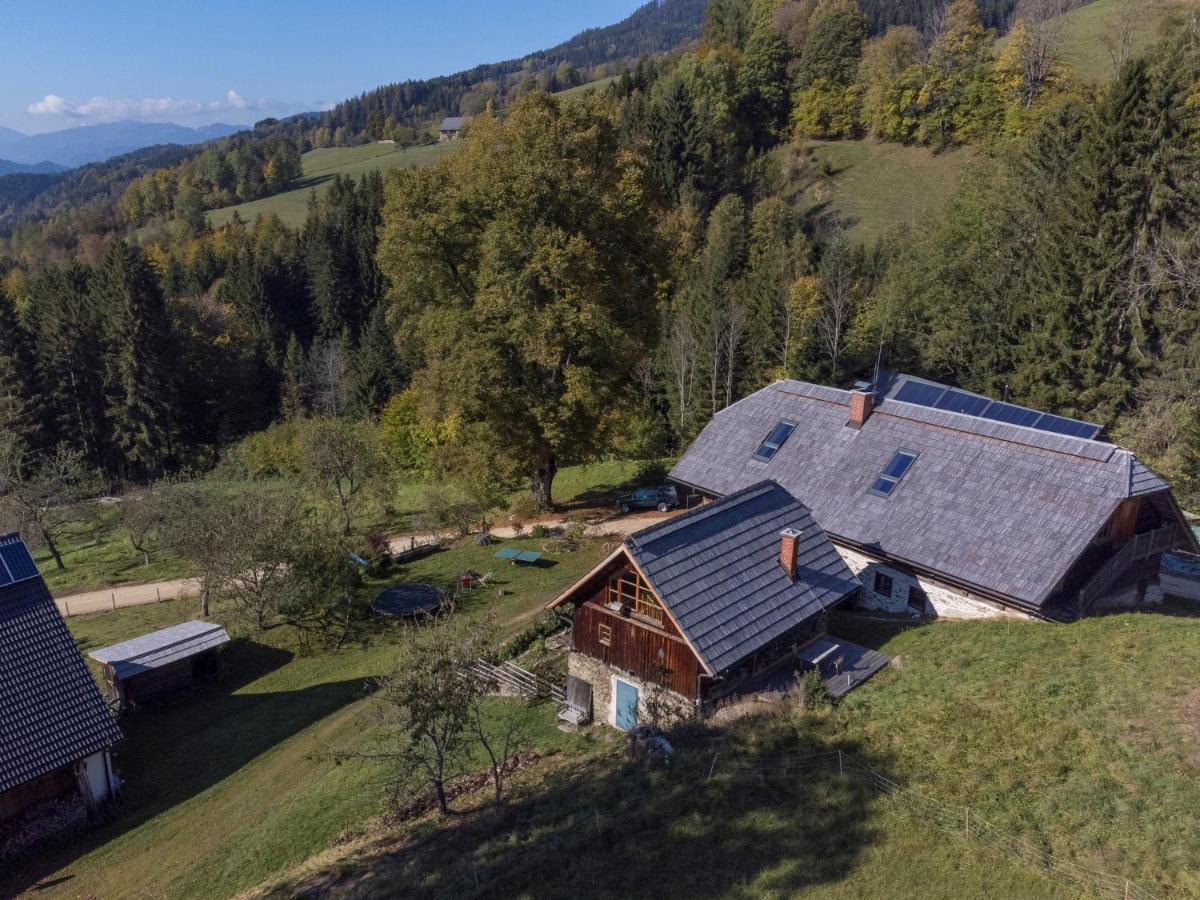 Charmante Gaestewohnung In Altem Bauernhaus In Alpiner Alleinlage Stanz Im Murztal Luaran gambar